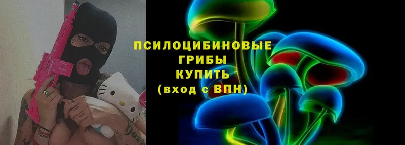 магазин продажи наркотиков  Закаменск  Псилоцибиновые грибы Cubensis 